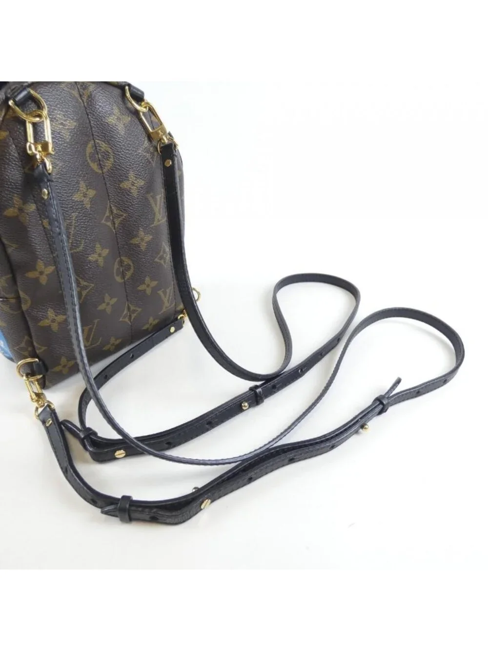 Louis Vuitton Monogram World Tour Palm Springs Backpack